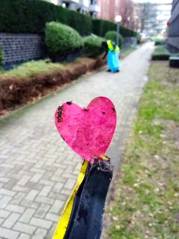 Bild: ein schmutziges rotes Konfetti-Herz in einer Müllzange
