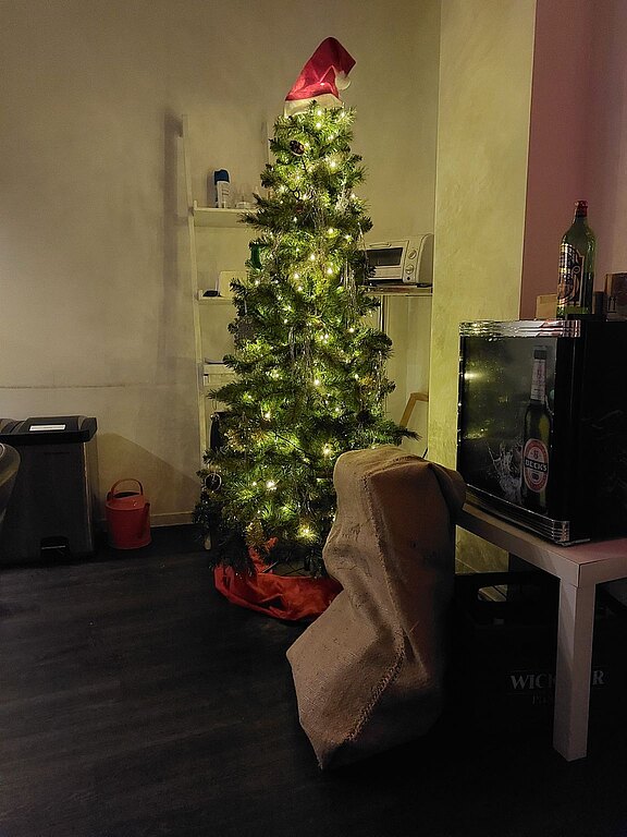 Bild unserer geschmückten Weihnachtstanne